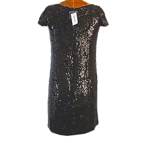 Sequins anyone?   Darling NWT Banana Republic size 4 dress - Picture 2 of 13